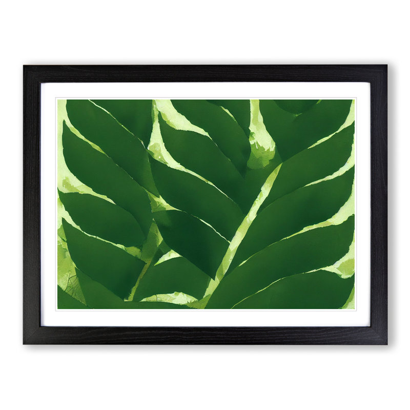 XH1022-7164X Pretty Leaves Vol.2 - Single Picture Frame Print, Black, 46cm H x 64cm W