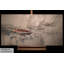 Hand-Painted Canvas Picture Endspurt