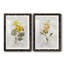Canari lin géranium - ensemble de 2 reproductions d'art-755692026-755692021-755692023
