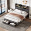 Darlita Upholstered Storage Bed-444938640