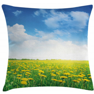 Indoor / Outdoor 28" Throw Pillow Cover