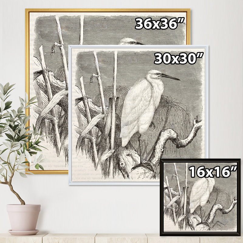 Petit oiseau aigrette - reproduction de dessin sur toile, Encadrement doré, H 16 po x l 16 po x P 1 po
