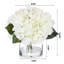 Hortensias en vase-289541462