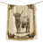 Vache Highland