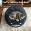 Lit pour chien Wallsend-1396754536-1396754538