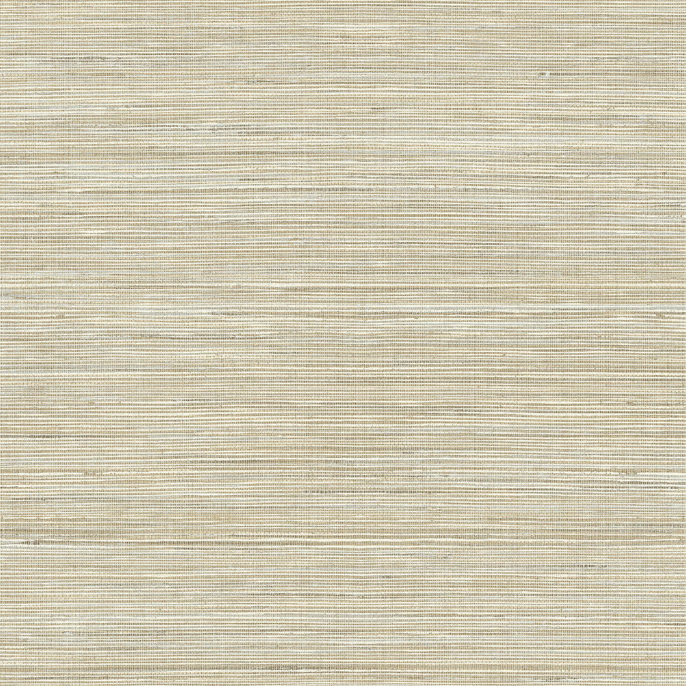 Paonia Striped Wallpaper, Brown, Paper 