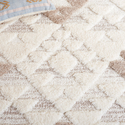 Carrizal Performance Southwestern Rug