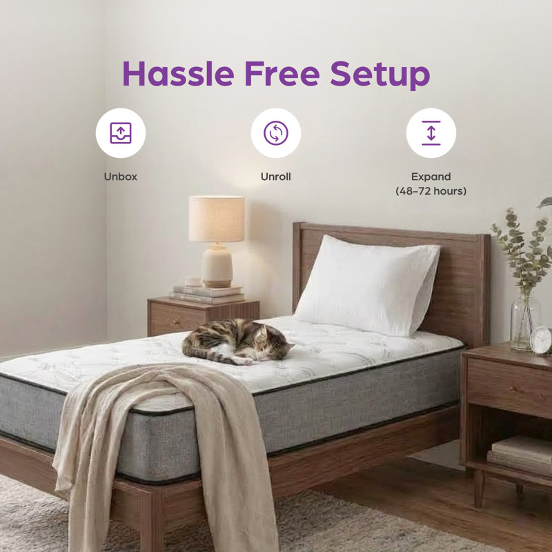 Matelas hybride ferme Sleep de Wayfair ™ 10 "/ 12" / 14 ", Très grand lit, 14", Solid