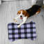 Tapis d'alimentation Lone Cheer - 1 pièce-101634686