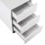 Paighton 40cm Wide 3 -Drawer File Cabinet