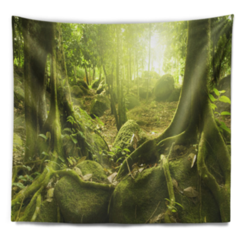 Photographie de paysage forêt verte avec tapisserie du soleil, H 32 po x l 39 po