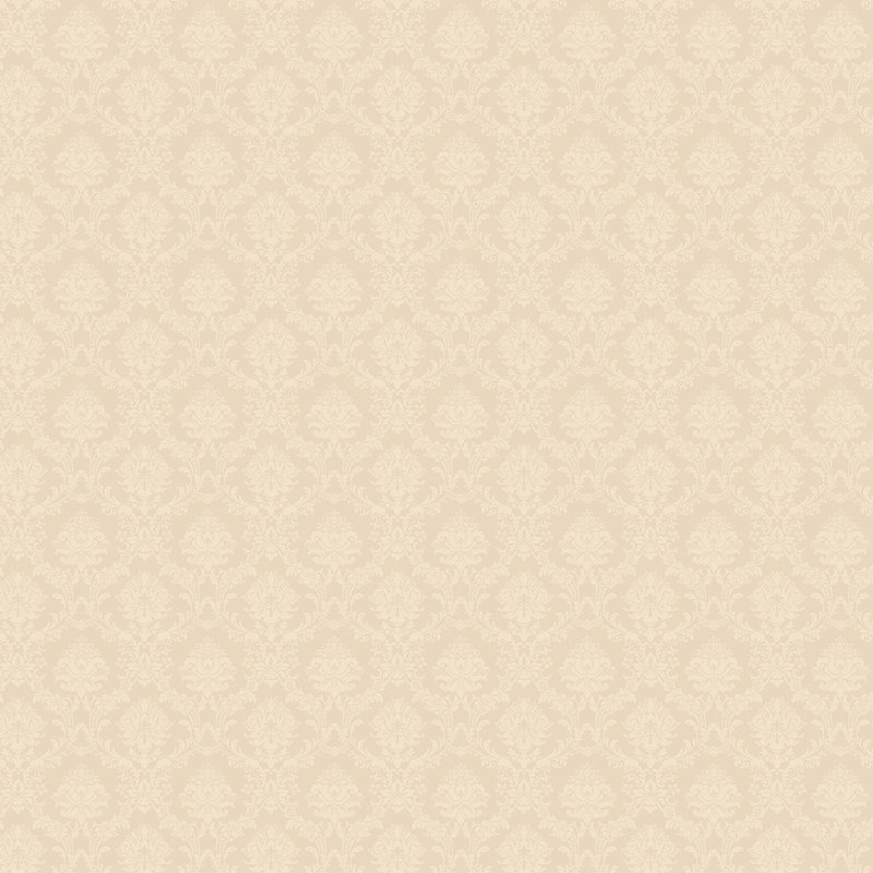 Mini damas, Blanc / Crème