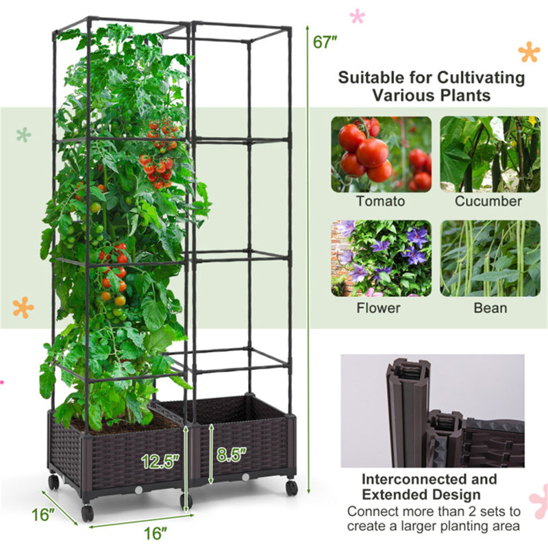 Lit de jardin avec treillis