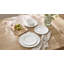 12pc Professional Alumina White Porcelain Classic Rim Dinner Set