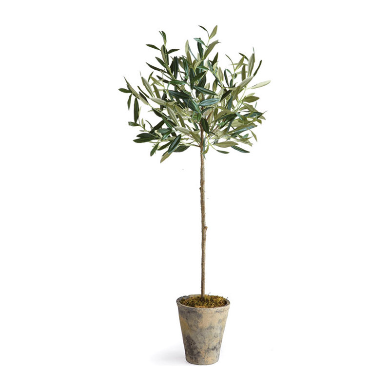 Conservatory Faux Olive Tree Tree in Ceramic Pot, 46" H x 7.75" W x 7.75" D