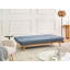 2 Seater Fabric Sofa Bed-516429113