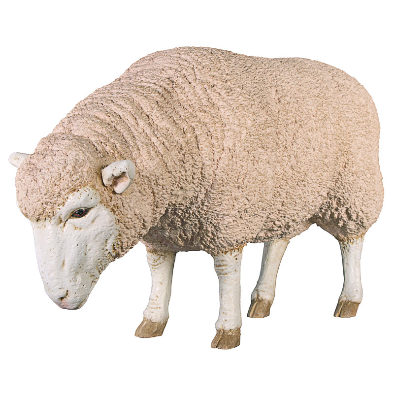 Statue tête de mouton Merino Ewe