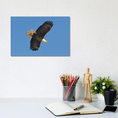 Bald Eagle In Flight by Brian Wolf - Wrapped Canvas Gallery-Wrapped Canvas Giclée