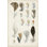 «Antique Bird Feathers I», impression sur toile tendue