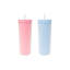 Gobelet de voyage à double paroi Mesa avec paille, rose et bleu, 24 oz, ensemble de 2