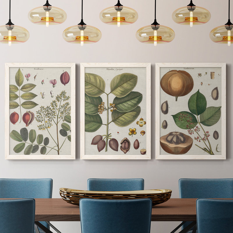 Exotic Botanique I - Ensemble de 3 peintures sur toile encadrées, H 43,5 po x l 31,5 po x P 1 po, Blanc