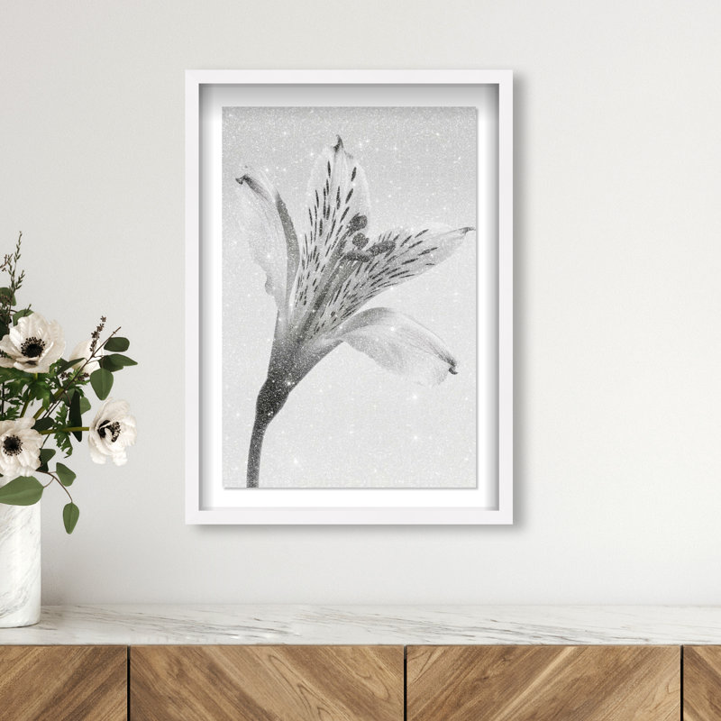 Delicate Spots Framed Graphic Art, 25.5" H x 17.5" W, White Shadowbox