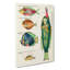 East Indies Fish Illustrations XXII by Louis Renard - Wrapped Canvas-55373047