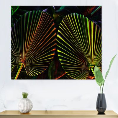 Feuilles tropicales ton sur ton noir - photographie sur toile