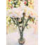 Amaryllis, arrangement floral dans un vase