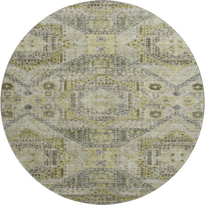 Premium Machine Washable Alaina AMF1929 Global Rug