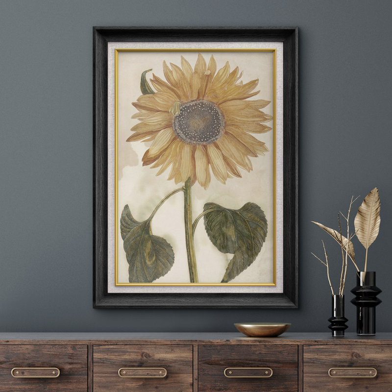Jaune, tournesol, floral, élégant, monochrome, botanique, illustrations, rustique, campagne française, Noir