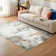 Abstract Machine Washable Rug Non-Slip Area Rug Modern Design Rug Durable Floor Carpet Easy-Cleaning Rug