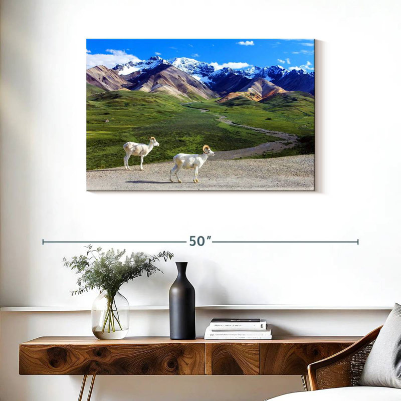 Rorry Dall Sheep In Denali, 24" H x 36" W