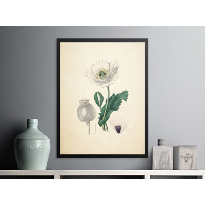 Bernice 1 Piece Wall Art