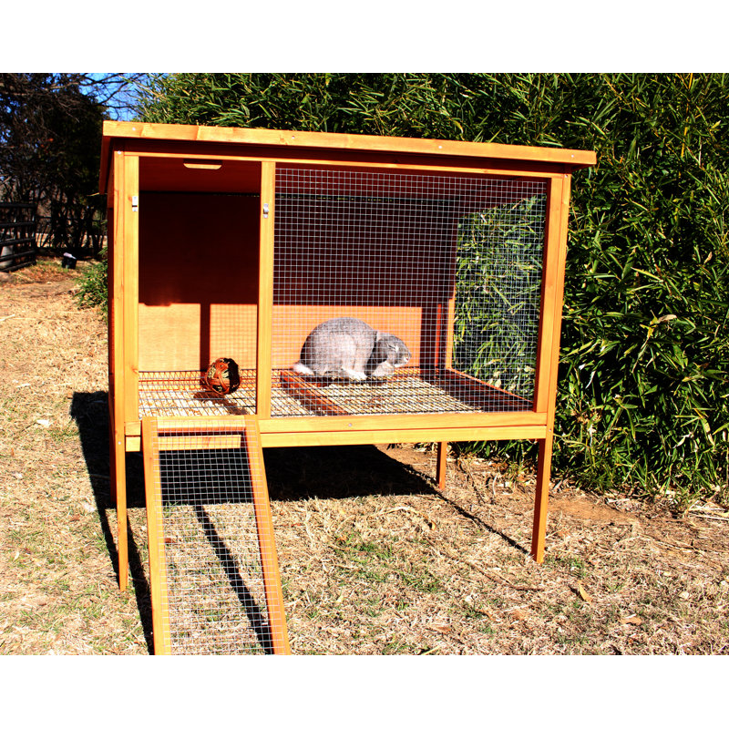 Cage à lapin avec rampe Averhoff