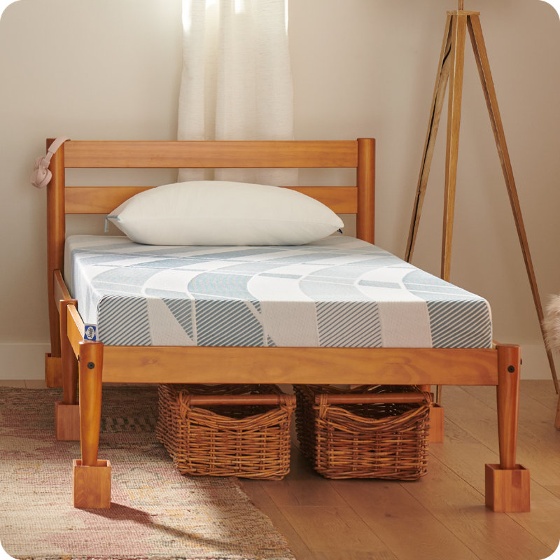 Sealy Dreamlife 6” Medium Foam Mattress-in-a-Box, Twin XL