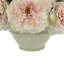 Peonies In Cream Vase