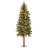 Hickory Cedar Tree-1964803448-1923807231