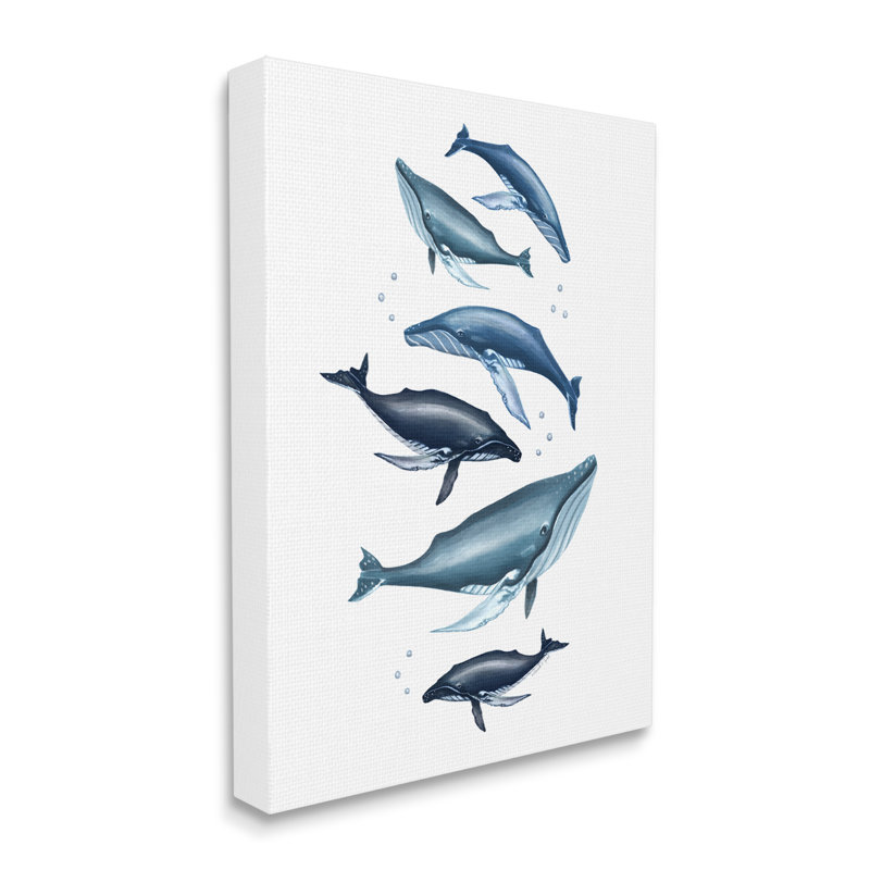 Impression de cadre photo de baleines bleues variées, L 16 po x H 20 po, Toile tendue