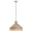 Luminaire suspendu transitionnel en métal 1 lumière l 18,5 po Ellisburg