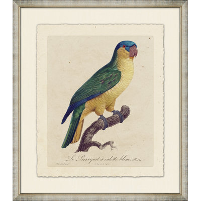 Le Perroquet 9 Painting