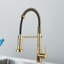 Belfry Kitchen Dejean Kitchen Faucet