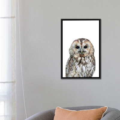 « hibou », impression sur toile