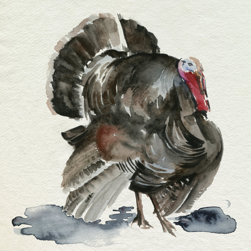 Aquarelle de dinde I, H 30 po x l 30 po x P 1,25 po