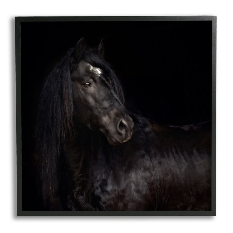 Ba-328 - Étalon noir élégant encadré sur bois par PHBurchett, Giclée encadrée noir minuit, H 24 po x l 24 po x P 1,5 po