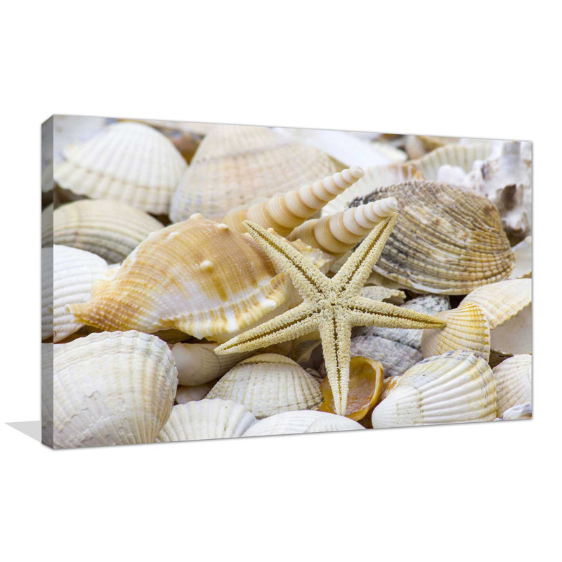 « sea turtle ii », reproduction de photo sur toile tendue, H 24 po x l 40 po x P 1,5 po