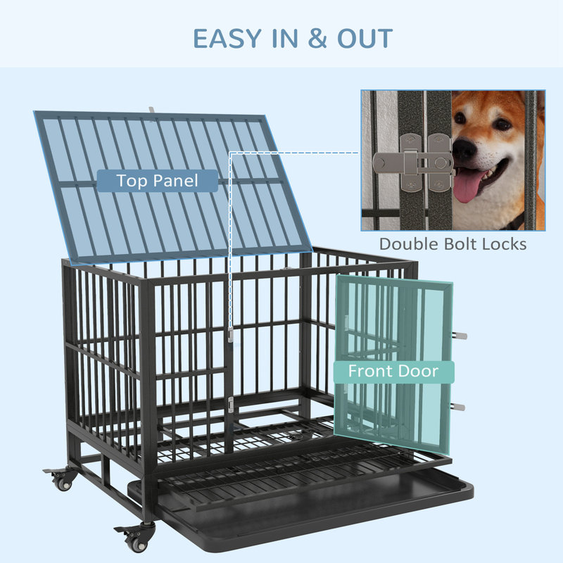 Cage pour chien à structure métallique avec roues verrouillables, portes doubles et amovible