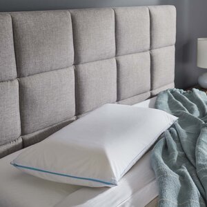 https://assets.wfcdn.com/im/26317506/resize-h300-w300%5Ecompr-r85/1923/192357055/TEMPUR-Cloud+Breeze+Dual+Cooling+Pillow.jpg