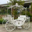 Accessoires de jardin Cendrillon-72022296