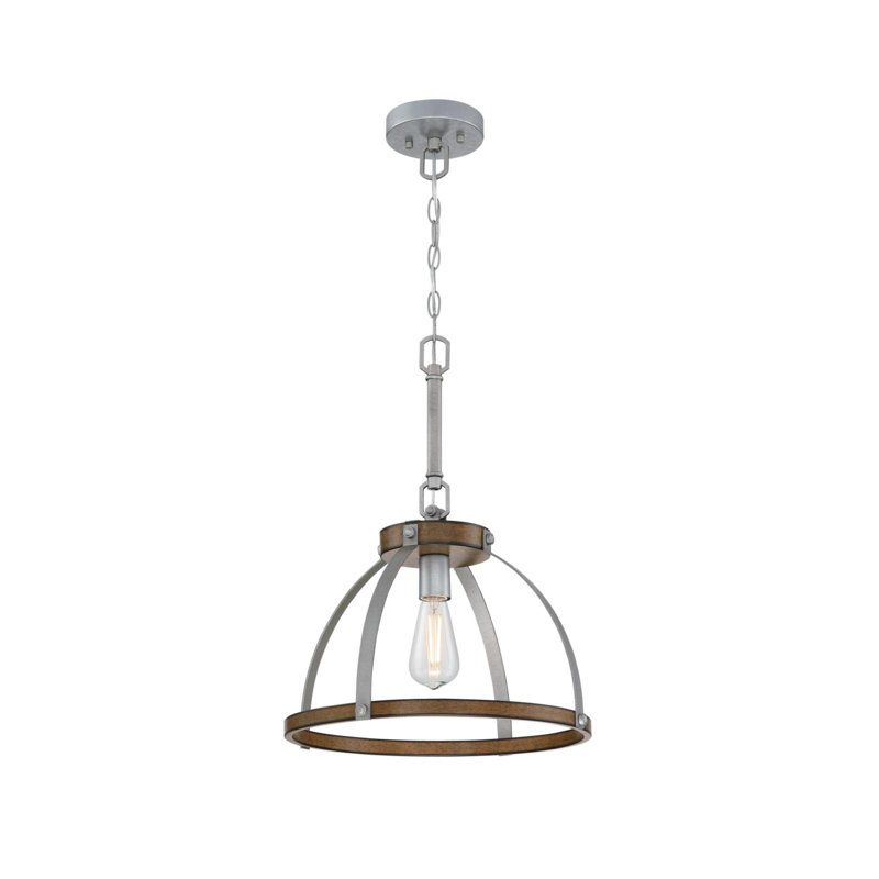 Fithian 1 - Light Caged Pendant